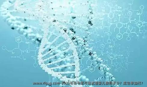 2025年在平果市做试管婴儿费用多少？成功率如何？