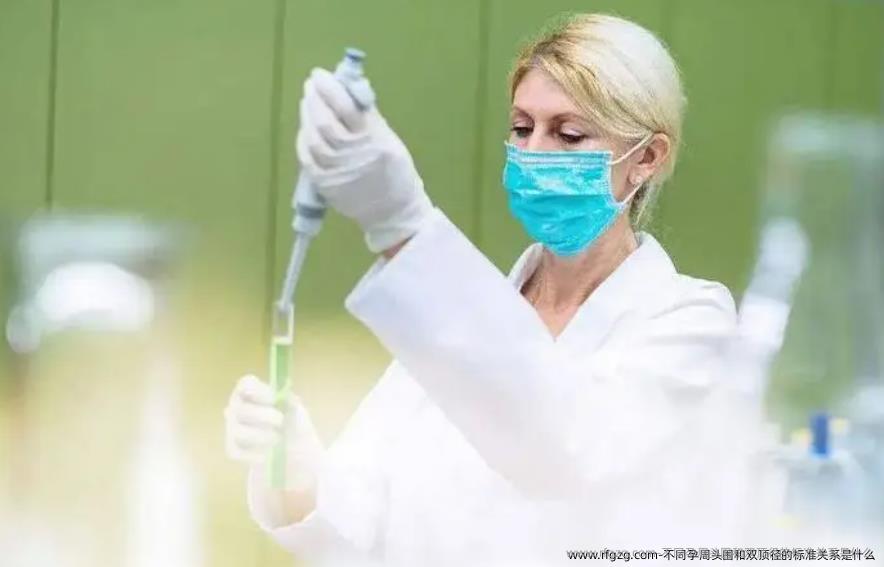 不同孕周头围和双顶径的标准关系是什么