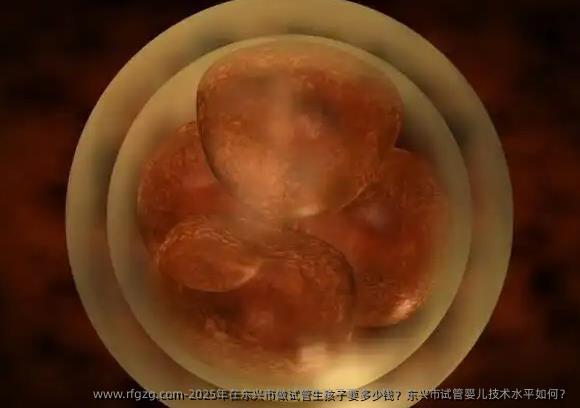 2025年在东兴市做试管生孩子要多少钱？东兴市试管婴儿技术水平如何？
