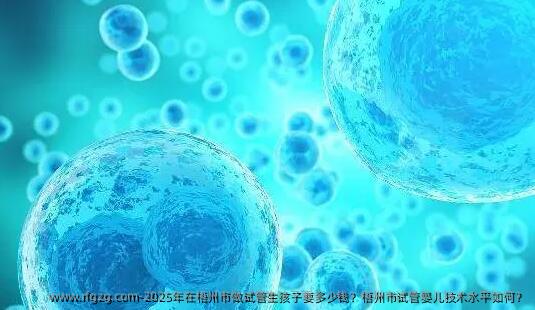 2025年在梧州市做试管生孩子要多少钱？梧州市试管婴儿技术水平如何？