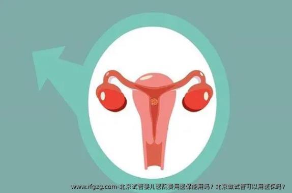 北京试管婴儿医院费用医保能用吗？北京做试管可以用医保吗？