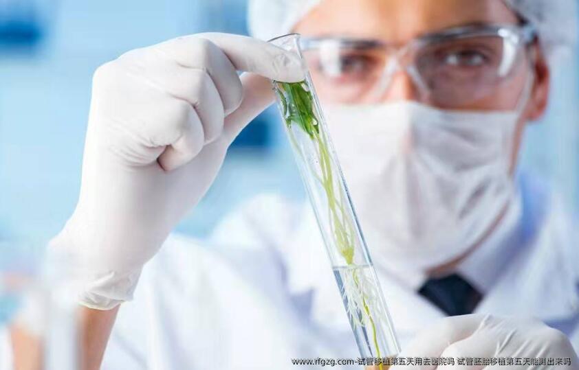 试管移植第五天用去医院吗 试管胚胎移植第五天能测出来吗