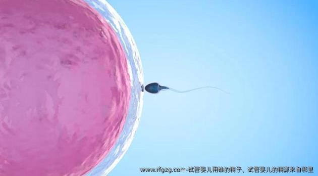 试管婴儿用谁的精子，试管婴儿的精源来自哪里