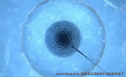 试管婴儿保胎多久就比较安全了？另外还需要注意哪些