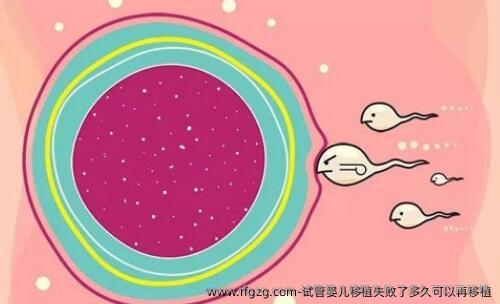 试管婴儿移植失败了多久可以再移植？需要等多长的时间