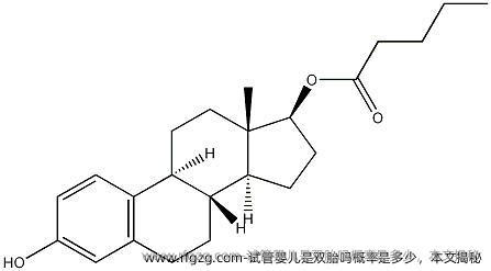 试管婴儿是双胎吗概率是多少，本文揭秘，你想知道哪些？