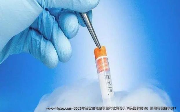 2025年邵武市能做第三代试管婴儿的医院有哪些？能用社保报销吗？
