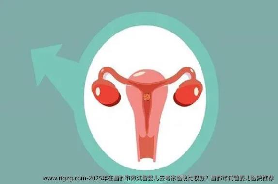 2025年在昌都市做试管婴儿去哪家医院比较好？昌都市试管婴儿医院推荐