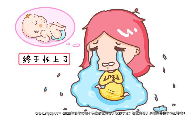 2025年新星市哪个医院做试管婴儿比较专业？做试管婴儿的流程安排是怎么样的？