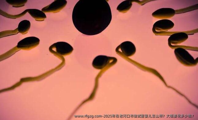 2025年在老河口市做试管婴儿怎么样？大概要花多少钱？