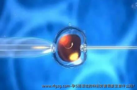 孕5周呕吐的特别厉害需要注意什么吗?