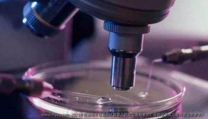 2025年在咸阳市做高龄试管婴儿的成功率有多少？高龄试管婴儿有哪些注意事项？