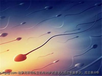 哈萨克斯坦私立机构30岁试管婴儿成功率是多少，成功率分析