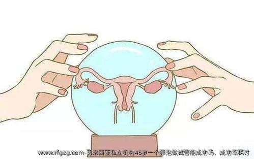 马来西亚私立机构45岁一个卵泡做试管能成功吗，成功率探讨