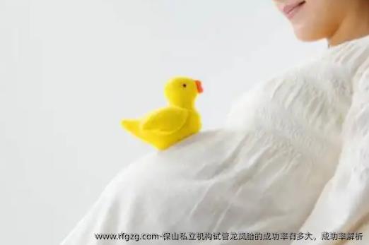 保山私立机构试管双胎的成功率有多大，成功率解析