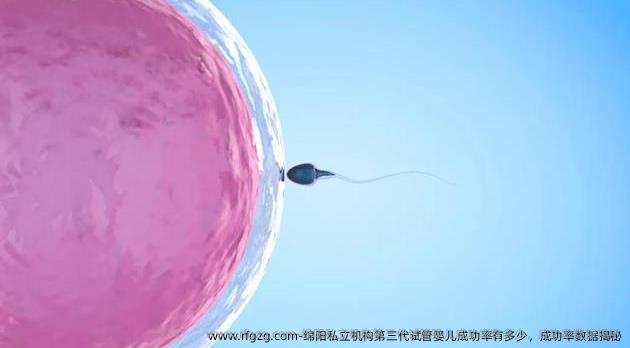 绵阳私立机构第三代试管婴儿成功率有多少，成功率数据揭秘