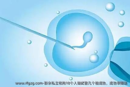 新余私立机构10个人做试管几个能成功，成功率揭晓