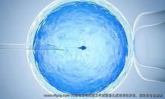内江私立机构第三代试管婴儿成功率有多高，成功率专业解读