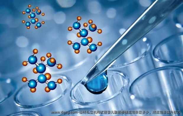 仙桃私立机构试管婴儿囊胚移植成功率是多少，附成功率提升技巧