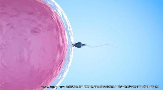 新疆试管婴儿成功率受哪些因素影响？有没有其他辅助生殖技术推荐？