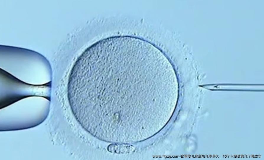 试管婴儿的成功几率多大，10个人做试管几个能成功