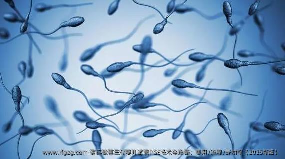 清远做第三代婴儿试管PGS技术全攻略：费用/流程/成功率（2025新版）