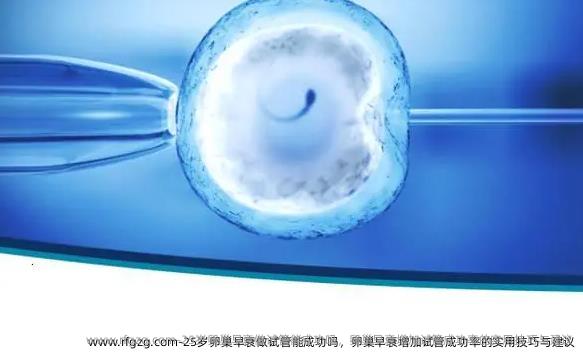 25岁卵巢早衰做试管能成功吗，卵巢早衰增加试管成功率的实用技巧与建议