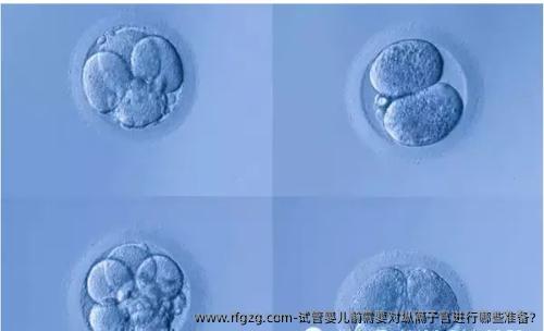试管婴儿前需要对纵隔子宫进行哪些准备?