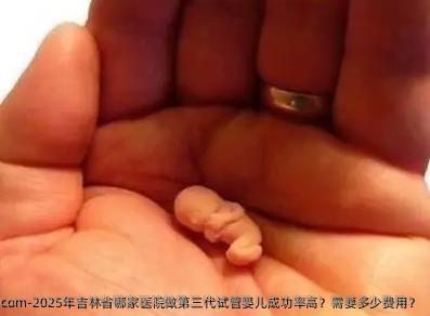 2025年吉林省哪家医院做第三代试管婴儿成功率高？需要多少费用？