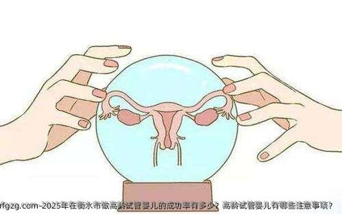 2025年在衡水市做高龄试管婴儿的成功率有多少？高龄试管婴儿有哪些注意事项？