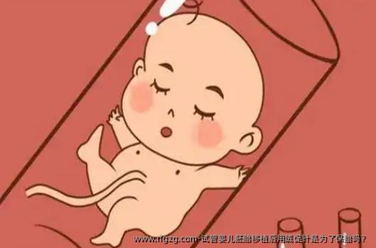 试管婴儿胚胎移植后用绒促针是为了保胎吗？