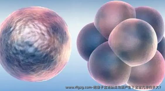 疤痕子宫妊娠成功顺产生下宝宝几率有多大？