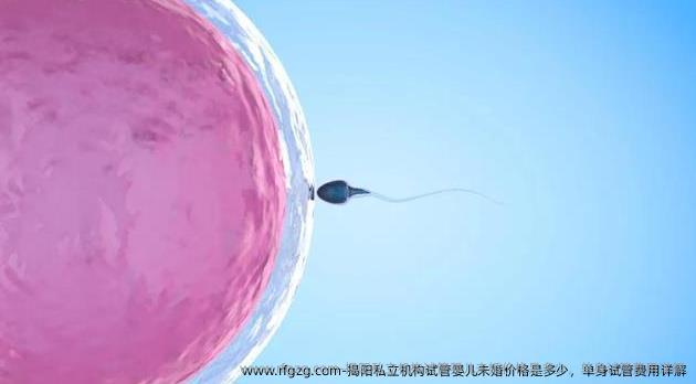 揭阳私立机构试管婴儿未婚价格是多少，单身试管费用详解