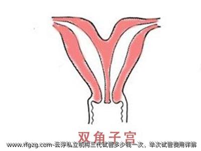 云浮私立机构三代试管多少钱一次，单次试管费用详解