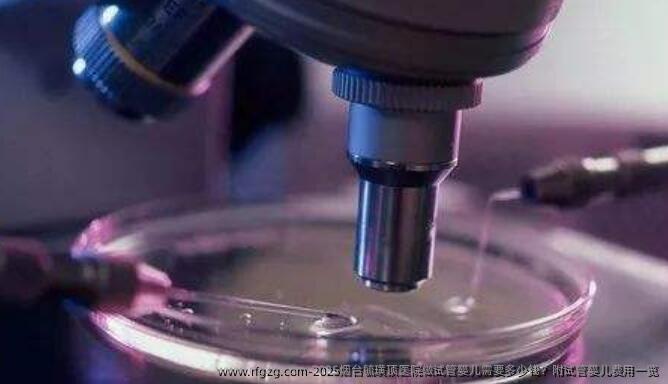 2025烟台毓璜顶医院做试管婴儿需要多少钱？附试管婴儿费用一览