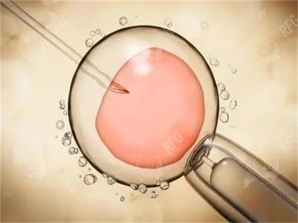 试管婴儿不需要经过子宫吧？没有子宫还能试管吗？