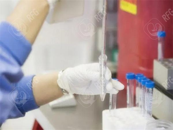 柬埔寨试管医院排名更新：第三代试管医院哪家好？