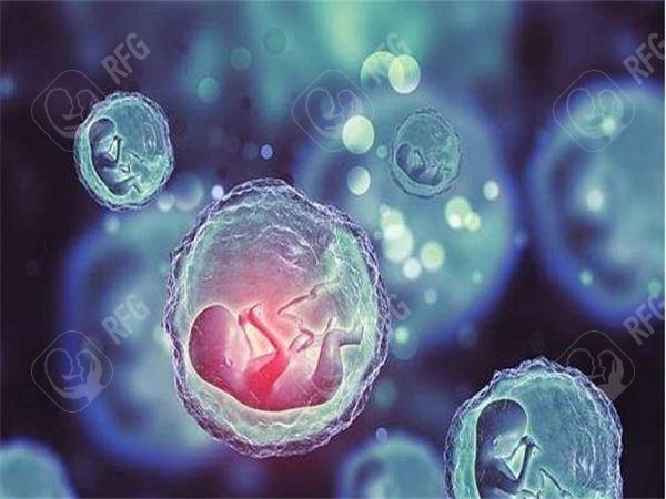 江西昌试管婴儿费用详细透视，涵盖关键收费项目！