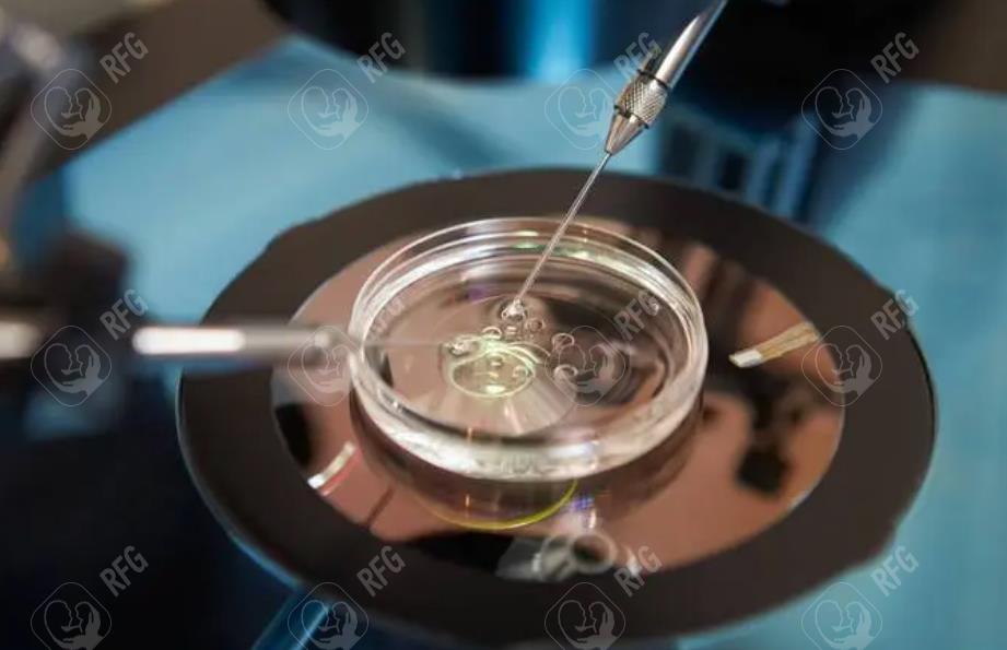 除了绿叶蔬菜，豆类中哪个叶酸含量最多？