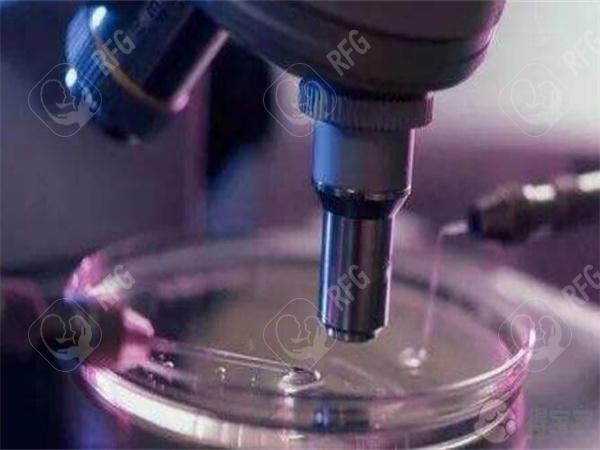 深圳三代试管婴儿私人医疗机构已公布，附试管婴儿成功率参考