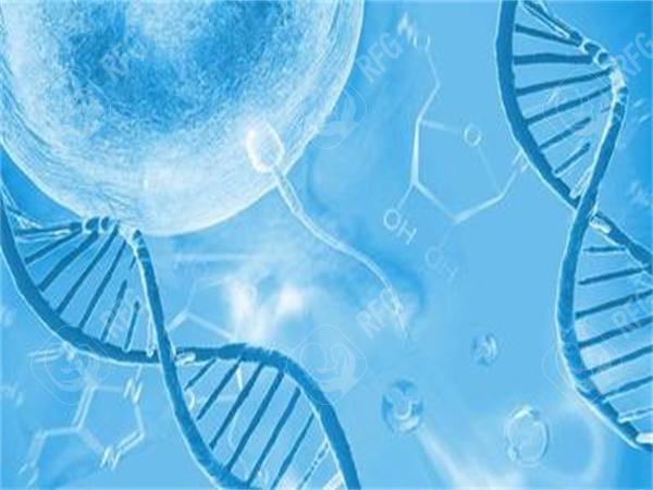 湛江私立医院做三代试管婴儿全部费用，需要注意哪些问题