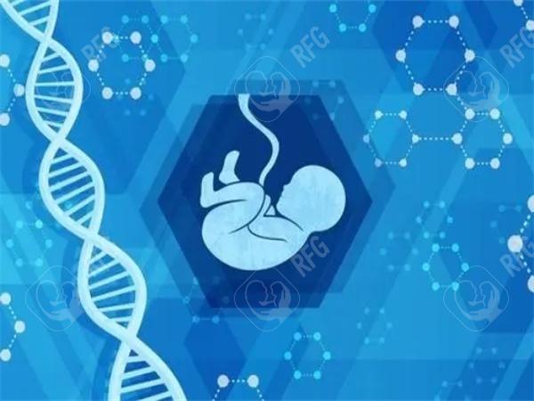 珠海试管婴儿的费用构成是什么？成功率与医院选择建议？