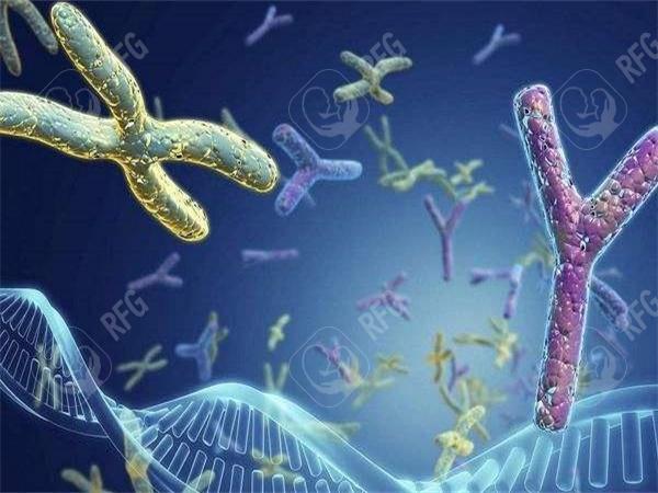 珠海试管婴儿费用与成功率，哪家医院性价比较高？