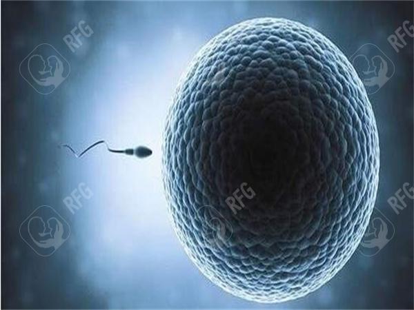 国内私立医院三代试管婴儿费用全解析，助你预算无忧！