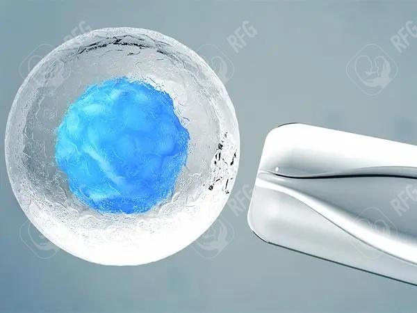 格鲁吉亚三代试管婴儿医院详解及试管费用与成功率分析