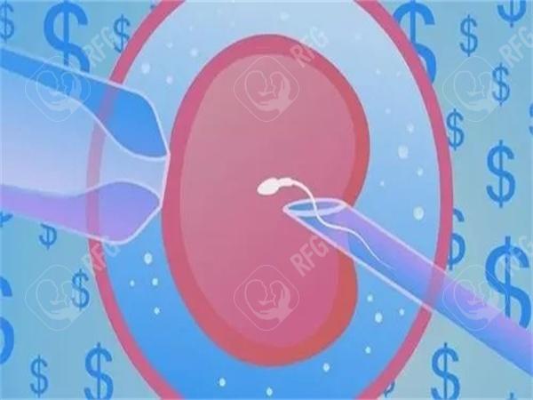 试管婴儿卵泡取出打麻药吗？试管婴儿卵泡取出后什么时候可以移植？