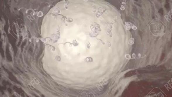 西安三代试管生孩子价格多少？附费用明细一览
