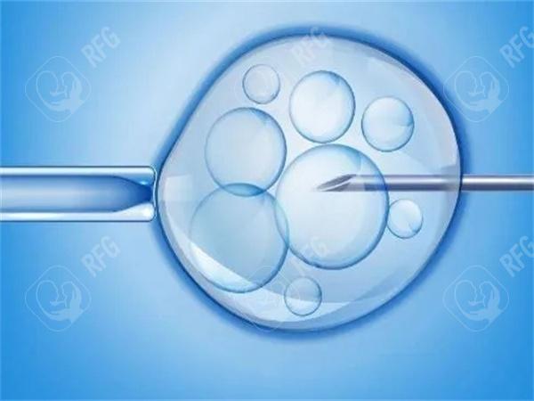 2025年在内江市做试管婴儿费用多少？成功率如何？
