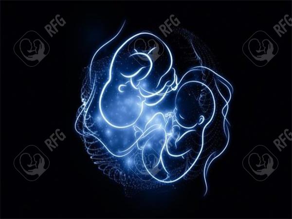 2025年在嵊州市做试管婴儿费用多少？成功率如何？