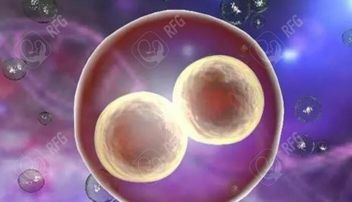 要提高怀孕率把握好这3个月可提升50%概率哦?